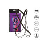 Calexotics - Euphoria Multichain Harness Premium Übergrösse |