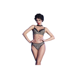 Chilirose - Cr 4727 Bikini 2 Piezas Leopardo L | Vybes.it