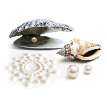 BIJOUX INDISCRETS - MIMI PERLE D'OR