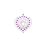 BIJOUX - INDISCRETS FLAMBOYANT LILLA & ROSA - BIJOUX DESIRE METALLIQU…