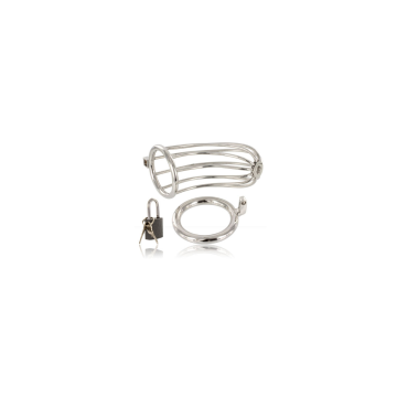 Metal Hard - Jaula Anillo Castidad Bird | Vybes.it