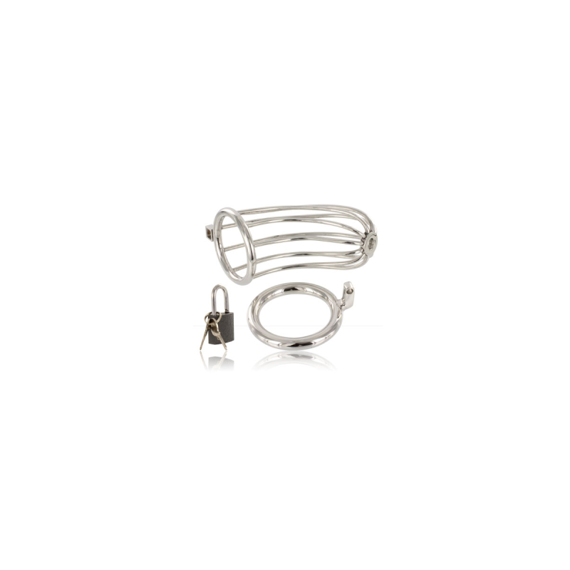 Metal Hard - Jaula Anillo Castidad Bird | Vybes.it