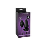 Plug Anal Hinchable De Silicona Recargable | Vybes.it