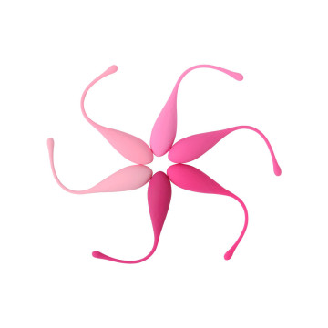 Leslie - Kegel Fit Entregador Suelo Pelvico 6 Pesos | Vybes.it