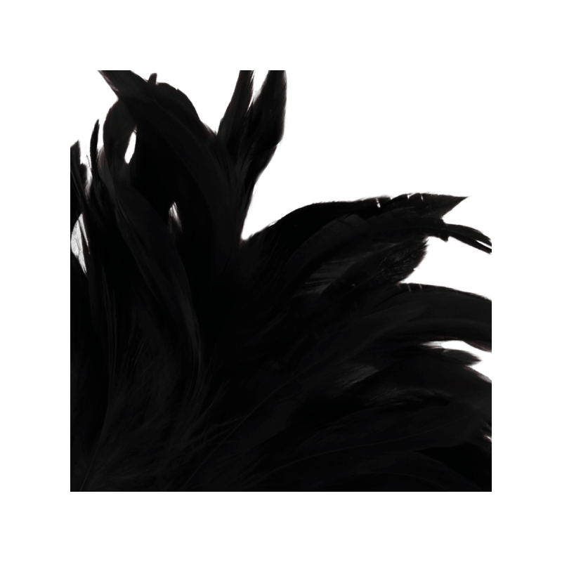 DARKNESS - BLACK LUX STIMULATING PEN - DARKNESS SENSATIONS - Boas and…