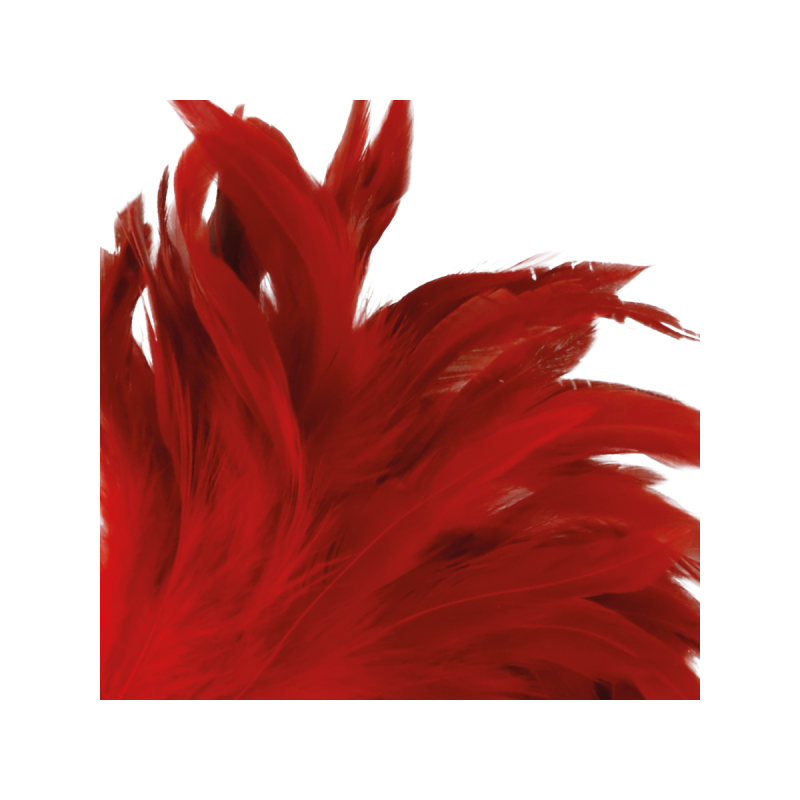 DARKNESS - STYLO STIMULANT ROUGE 24CM - DARKNESS SENSATIONS - Boas et…