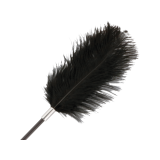 DARKNESS - SCHWARZE LIEBESFEDER-PEISTE 56 CM - DARKNESS SENSATIONS -…