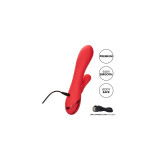 Calexotics - Palisades Passion Red | Vybes.it