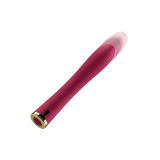 Cici Beauty - Vibrador Premium Silicone Up & Down | Vybes.it