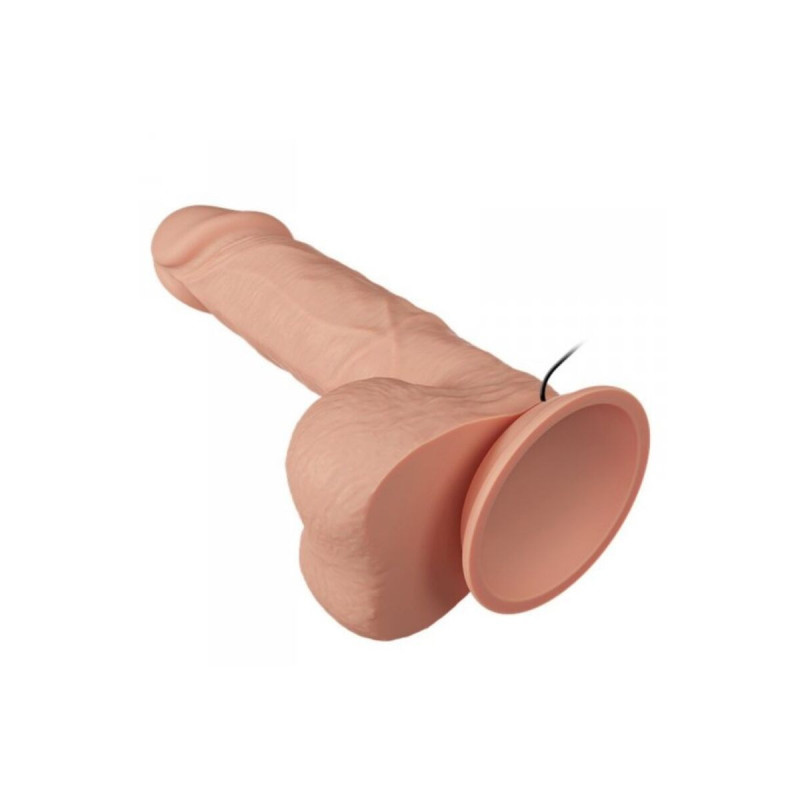 Baile - Beautiful Encounter Bahamut Vibration 21.8 Cm Natural |