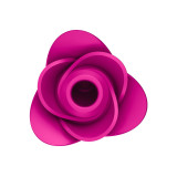 Satisfyer - Air Pulse Pro 2 Modern Blossom Vibrador | Vybes.it