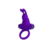Pretty Love - Anneau Vibrateur I Rabbit Pour Pénis Violet | Vybes.it