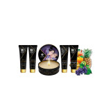 Shunga - Geheime Exotische Geisha - Früchte | Vybes.it