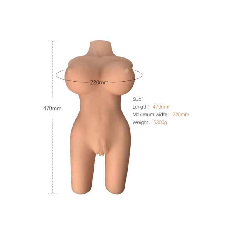 ARMONY - REALISTIC FEMALE TORSO MODEL 6 - ARMONY FOR HIM - Dolls Real…