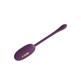 Pretty Love - Doreen Huevo Vibrador Recargable Lila | Vybes.it