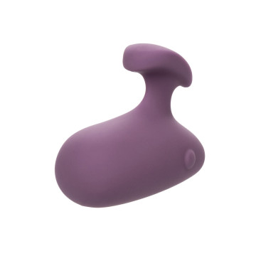 Calexotics - Stimulateur Mod Touch Violet | Vybes.it