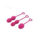 ARMONY - ANABIOSIS MANUBRI VAGINALI 3 LIVELLI BORDEAUX - ARMONY WEARA…