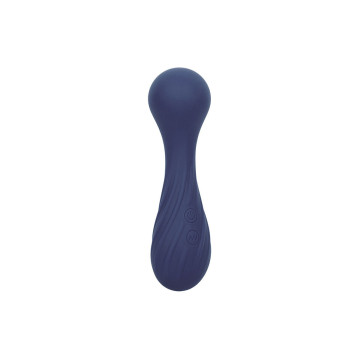Calexotics - Charisma Temptation Masseur 12 Fonctions Violet |