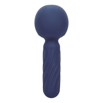CALEXOTICS - CHARISMA SEDUCTION MASSEUR 12 FONCTIONS 17,75 CM X 6,25 CM VIOLET