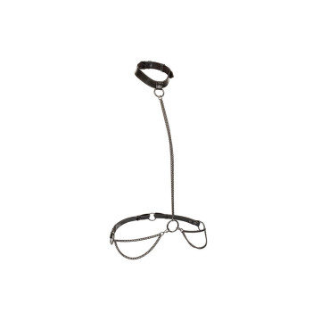 CALEXOTICS - EUPHORIA COLLAR HALTER Y CORREA CON CADENA