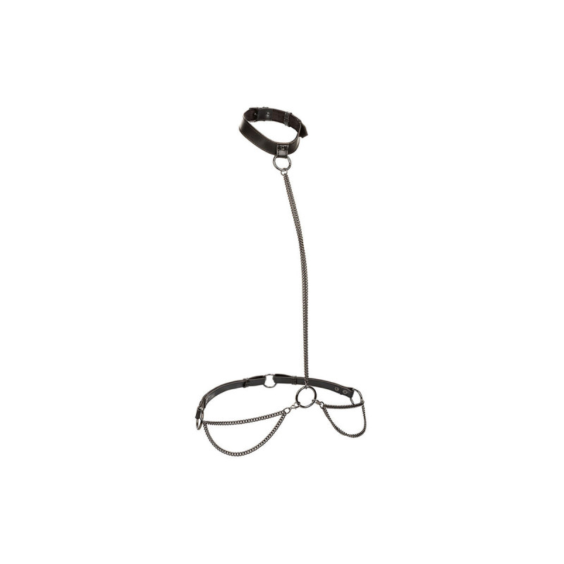 Calexotics - Euphoria Collar Halter Y Correa Con Cadena Talla Plus