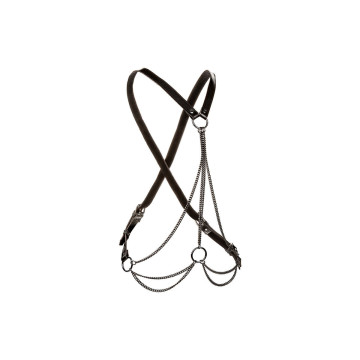 Calexotics - Euphoria Multichain Harness Premium Übergrösse |