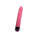 Baile - Colorful Sex Vibrador Realístico Rosa 23 Cm | Vybes.it