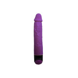 Baile - Colorful Sex Vibrador Realístico Lila 23 Cm | Vybes.it
