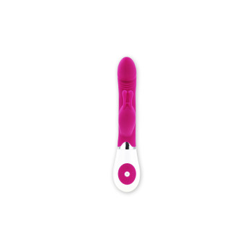 Pretty Love - Flirtation Vibrador Con Rabbit Gene | Vybes.it