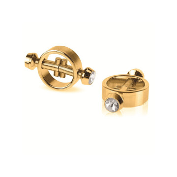 Fetish Fantasy Gold - Pinces Magnétiques | Vybes.it