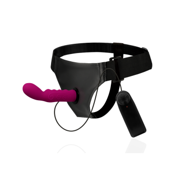 Harness Attraction - Arnés Walter Con Vibración 15.5 Cm - O - 3.7