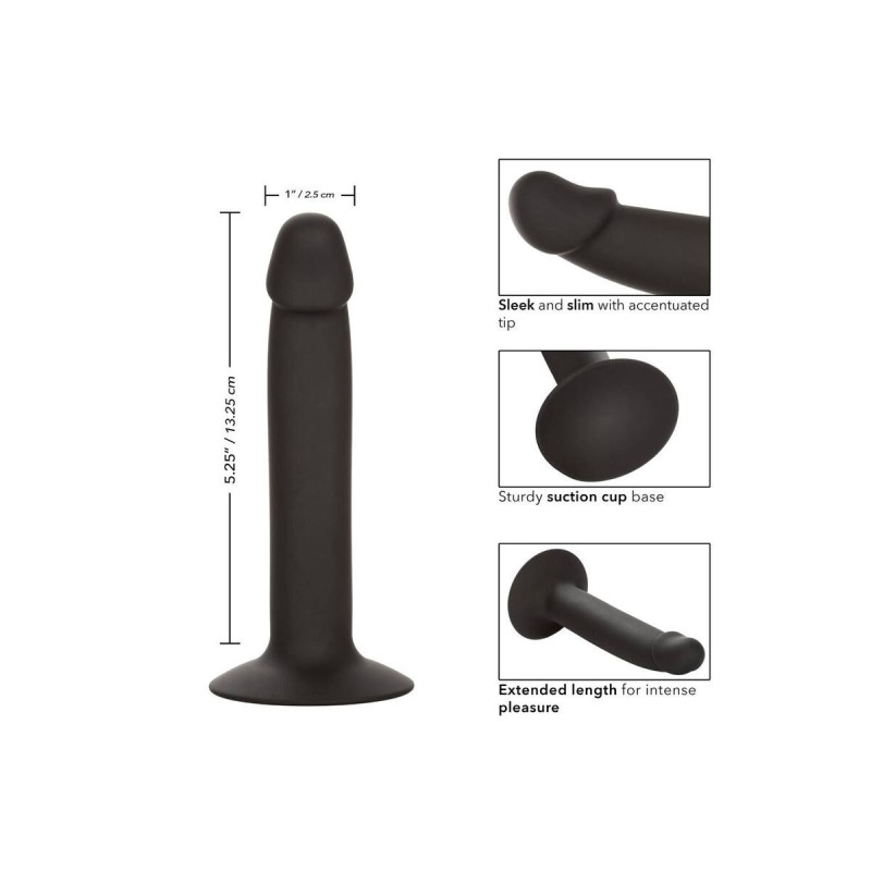 CALEXOTICS - SLIM ANAL STUD - Plugs | Vybes.it
