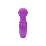 Pretty Love - Lila Mini - Persönliches Massager | Vybes.it