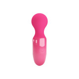 Pretty Love - Magenta Mini Persönliches Massager | Vybes.it