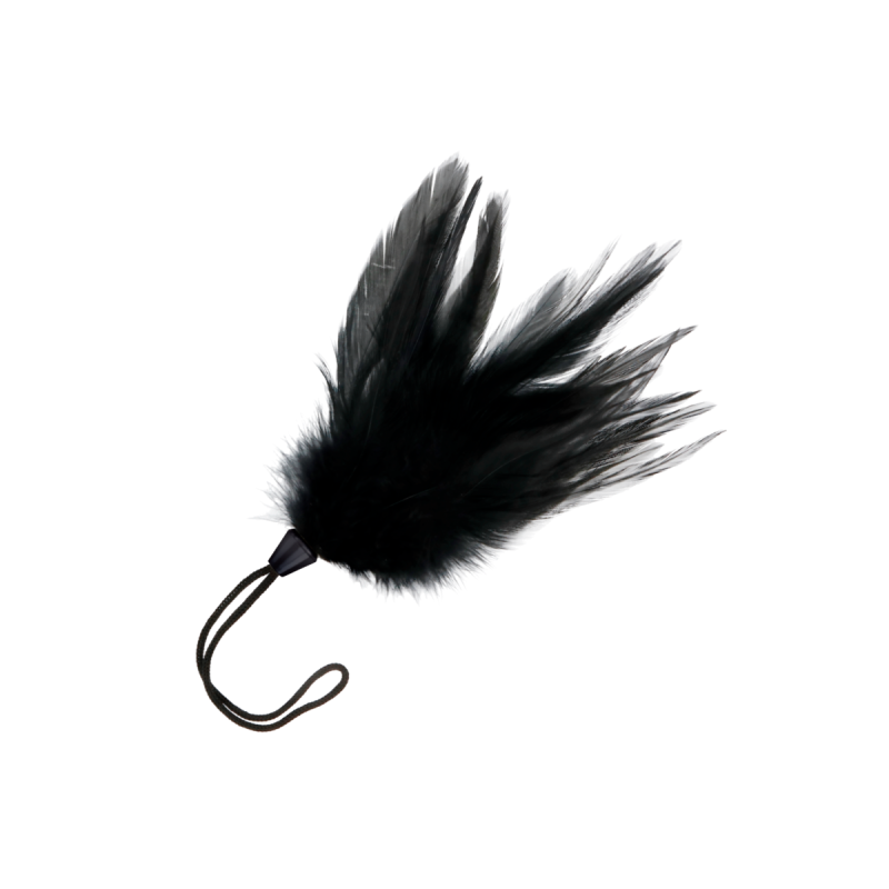 DARKNESS - BLACK STIMULATING PEN 17 CM - DARKNESS SENSATIONS - Boas a…