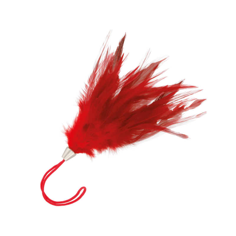 DARKNESS - PENNA STIMOLANTE ROSSA 17CM - DARKNESS SENSATIONS - Boa e…