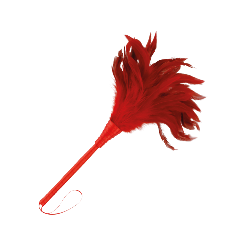 DARKNESS - ROTER STIMULIERENDER STIFT 24CM - DARKNESS SENSATIONS - Bo…