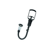 Calexotics - Boundless Kit De Bomba Corporal | Vybes.it