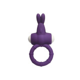 ARMONY - MS BUNNY VIBRATOR RING SILICONE PURPLE - ARMONY FOR HIM - Co…
