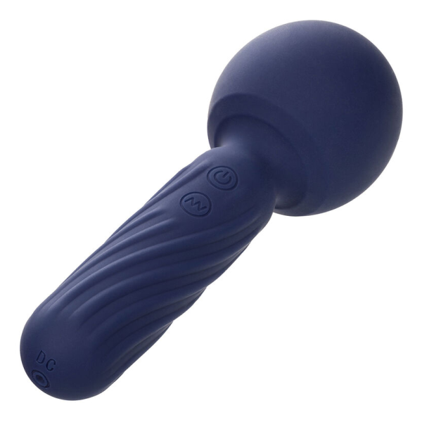 CALEXOTICS - CHARISMA SEDUCTION MASSEUR 12 FONCTIONS 17,75 CM X 6,25 CM VIOLET