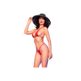 Chilirose - Cr 4840 Micro Bikini Rojo S/M | Vybes.it