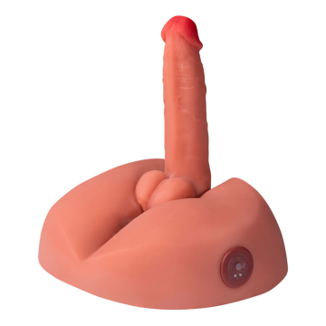 XISE - HONEY REALISTISCHER DILDO-MASTURBATOR MIT VIBRATION, 25 CM