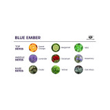 EYE OF LOVE - BLOOM RAUMSPRAY INDICA BLUE EMBER 150 ML - Lufterfrisch…