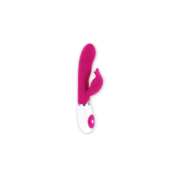 Pretty Love - Flirtation Vibrador Con Estimulador Felix | Vybes.it