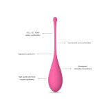 Leslie - Kegel Fit Entregador Suelo Pelvico 6 Pesos | Vybes.it