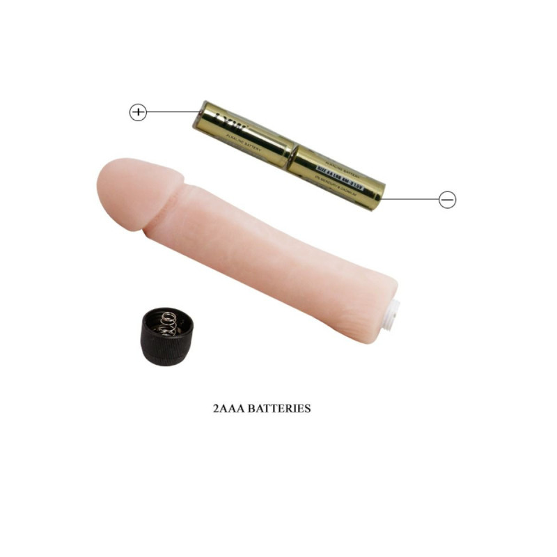 Baile - Love Companion Dildo Vibrador 25 Cm | Vybes.it