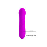 Pretty Love - Smart Mini Vibrador Reuben | Vybes.it