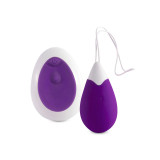 Intense - Oeuf Vibrant Télécommande Jan Lilas | Vybes.it