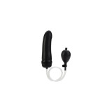 Calexotics - Colt Plug Anal Hinchable | Vybes.it