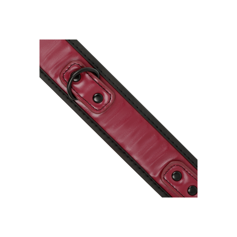 Fetish Submissive Dark Room - Collar Con Cadena Con Forro De